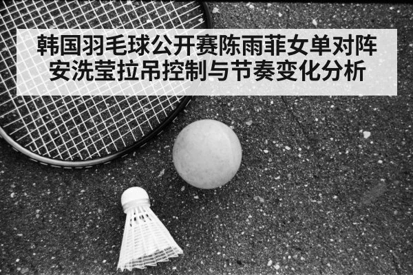 badminton racket shuttlecock court